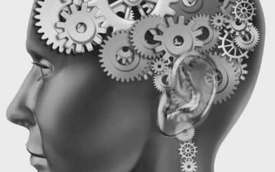 VICES ET VERTUES DE LA POLITIQUE FRANCAISE