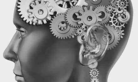 VICES ET VERTUES DE LA POLITIQUE FRANCAISE