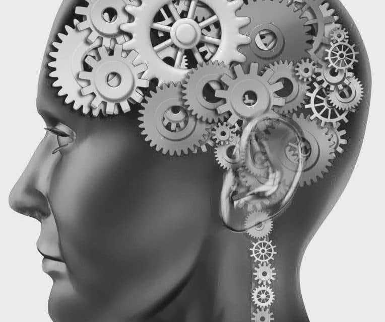 VICES ET VERTUES DE LA POLITIQUE FRANCAISE