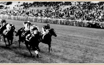 COURSES HIPPIQUES…A LA RECHERCHE DU TEMPS PERDU !