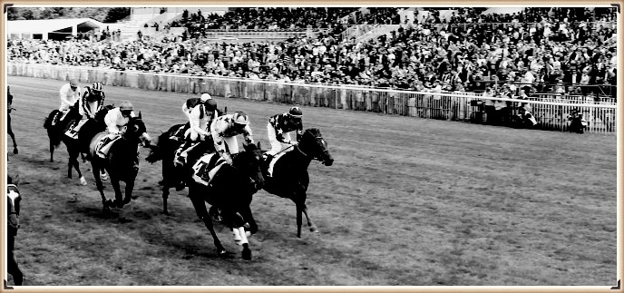 COURSES HIPPIQUES…A LA RECHERCHE DU TEMPS PERDU !