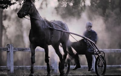 LE PRINCIPE DES COURSES DANS LES HIPPODROMES