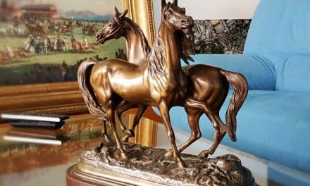 LAURA GRIZETTI ENTRAINEUSE DE CHEVAUX