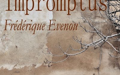 IMPROMPTUS – PHOTOGRAPHIES – FREDERIQUE EVENOU