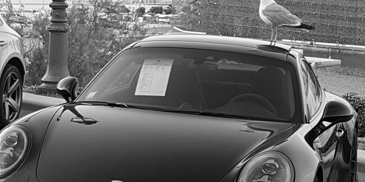 STEPHANE BOUISSOU -AutAu Pharo 2017-  PARADE BOLIDES DE COLLECTION