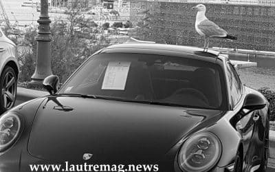 STEPHANE BOUISSOU -AutAu Pharo 2017- PARADE BOLIDES DE COLLECTION